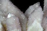 Cactus Quartz (Amethyst) Cluster - South Africa #80013-2